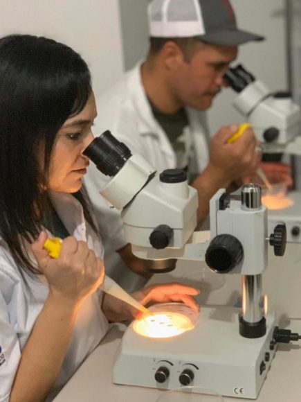 COURSE ON FERTILIZATION AND CULTURE OF EMBRYOS PRODUCED IN VITRO IN CLASSROOM Course MODE
