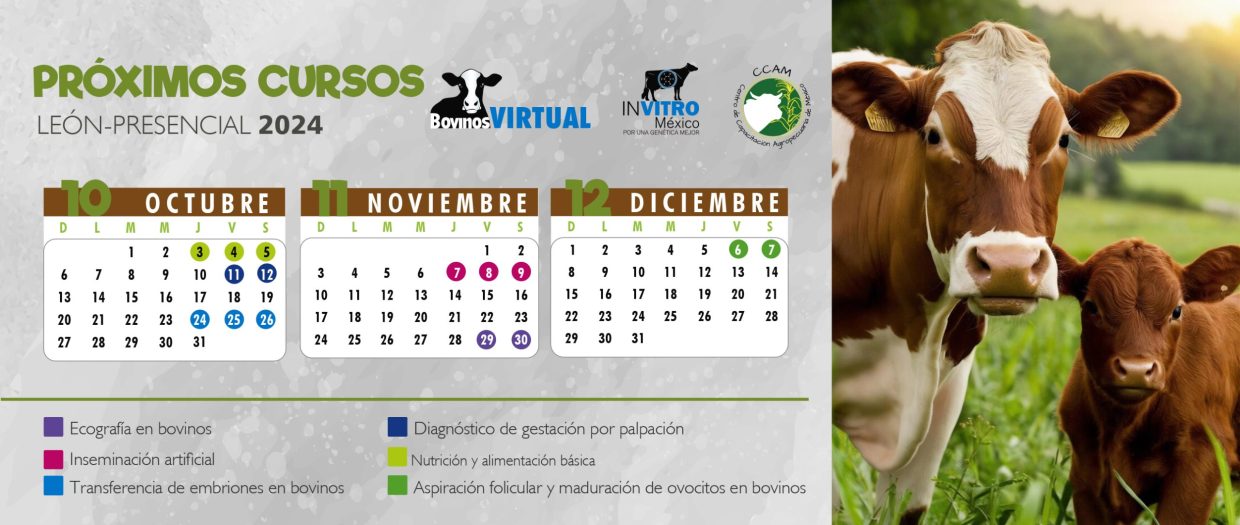 CALENDARIO MAYO-JULIO