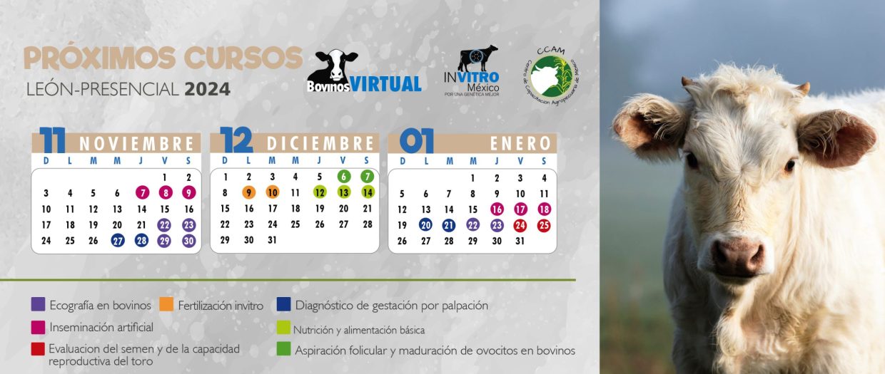 CALENDARIO MAYO-JULIO