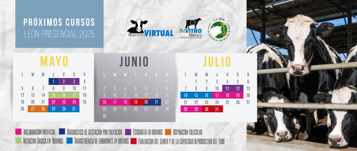 CALENDARIO AGS -OCT