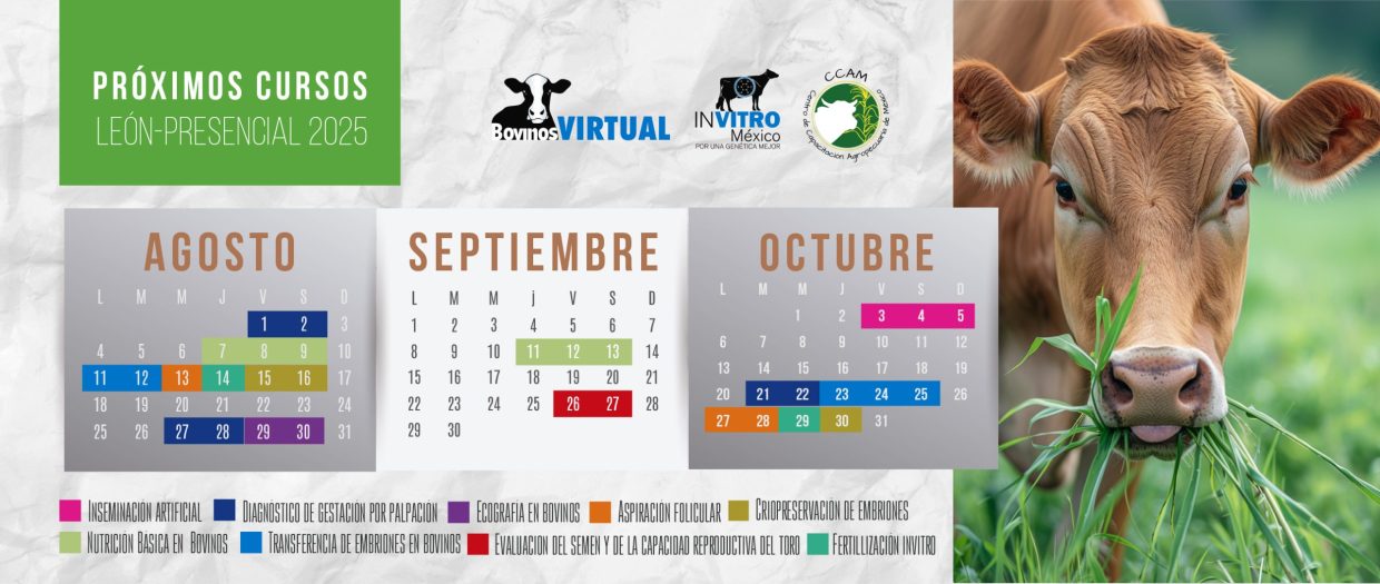CALENDARIO AGS -OCT