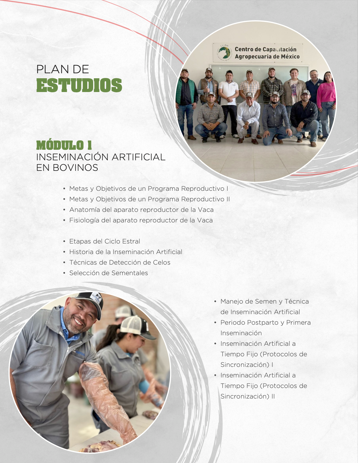 Captura de pantalla 2025-09-20 a la(s) 9.44.48 p.m.