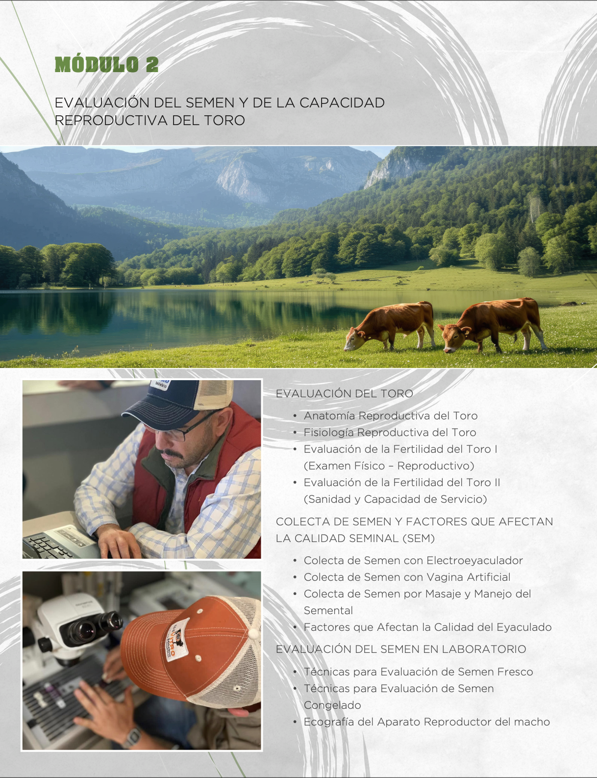 Captura de pantalla 2025-09-20 a la(s) 9.45.03 p.m.