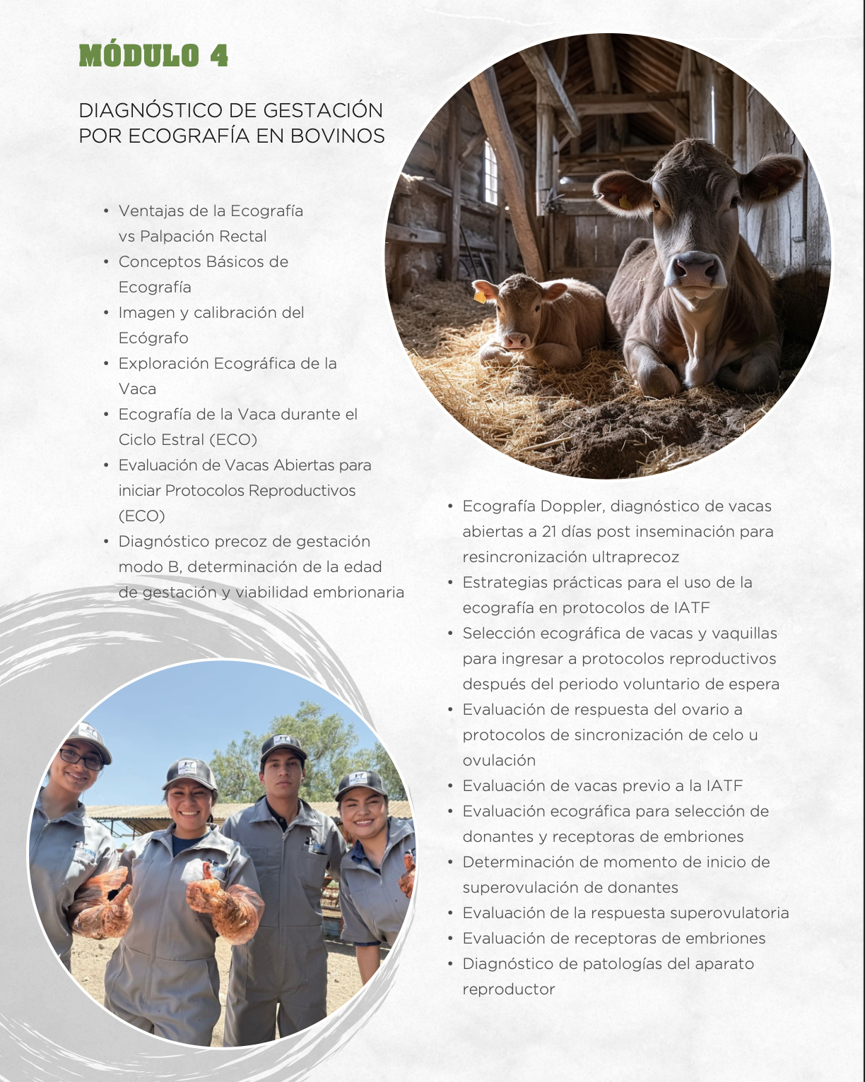 Captura de pantalla 2025-09-20 a la(s) 9.45.25 p.m.