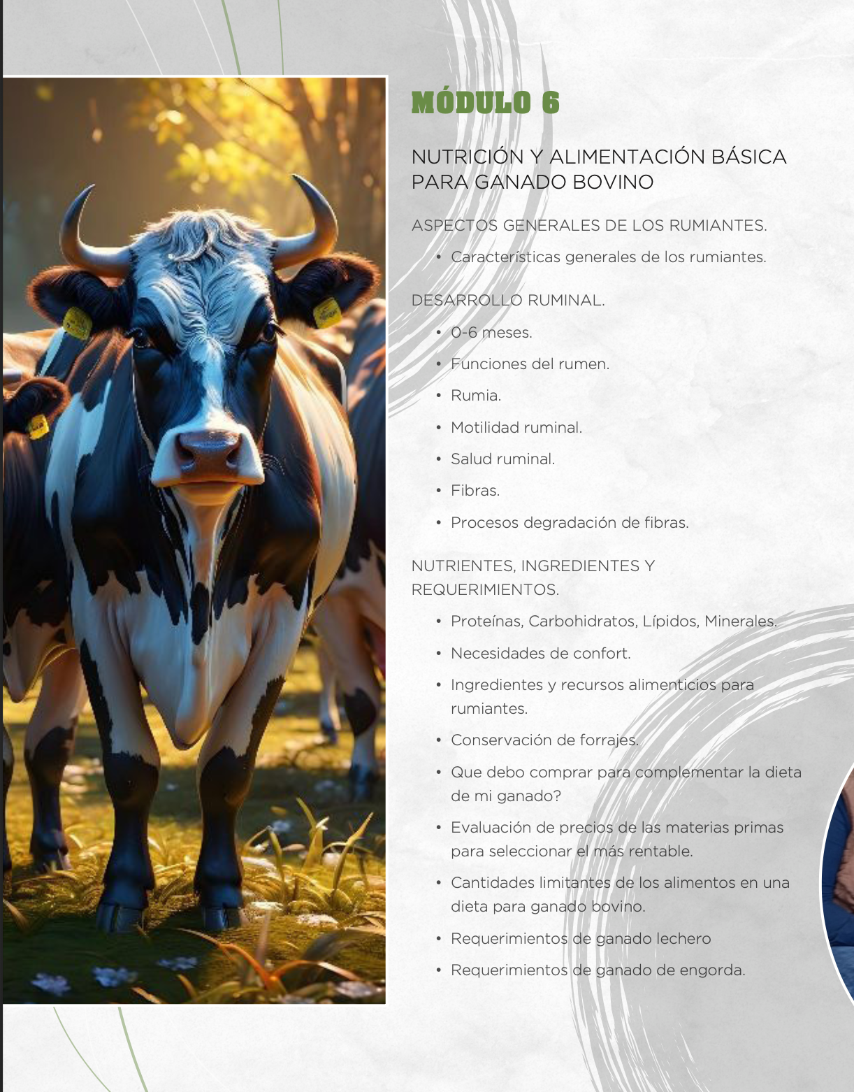 Captura de pantalla 2025-09-20 a la(s) 9.45.58 p.m.