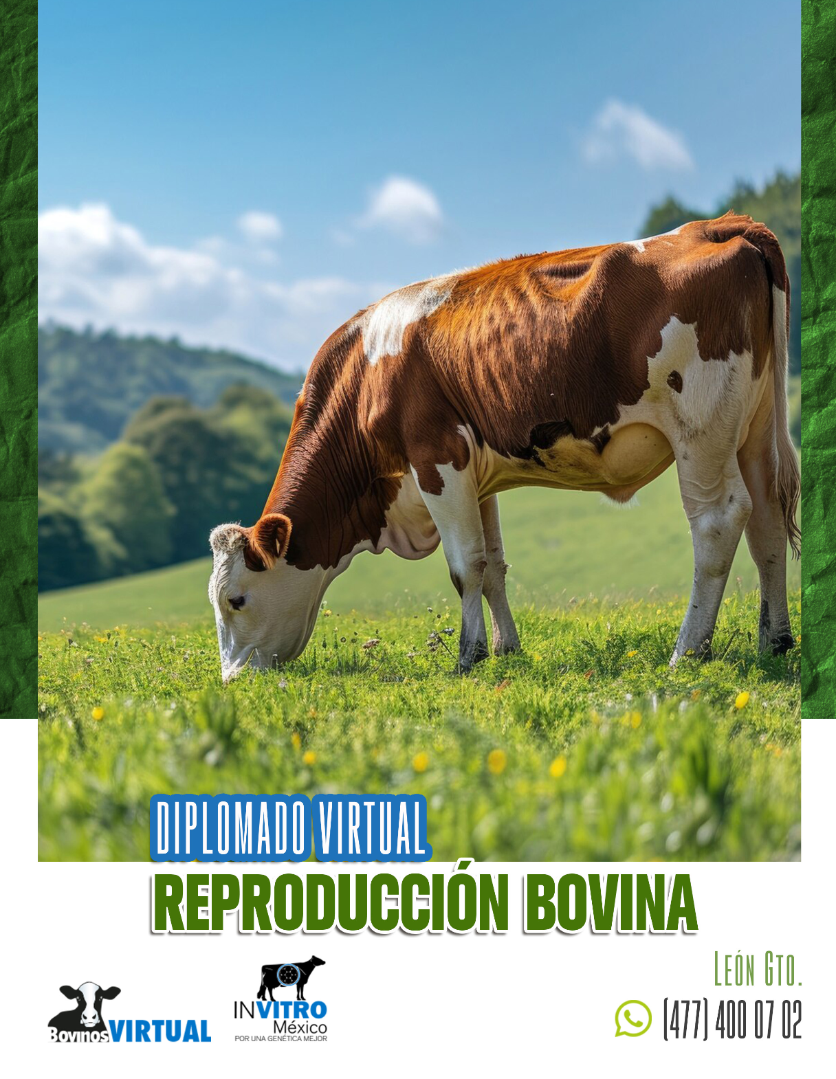 Captura de pantalla 2025-09-20 a la(s) 9.51.52 p.m.