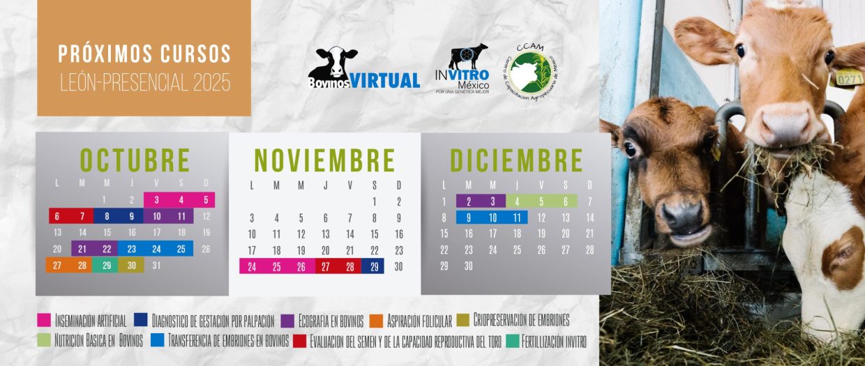 CALENDARIO AGS -OCT