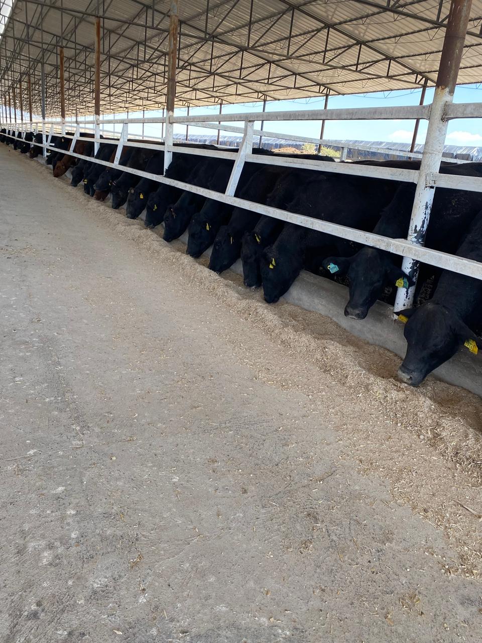 PHOTO-2026-01-18-20-37-14