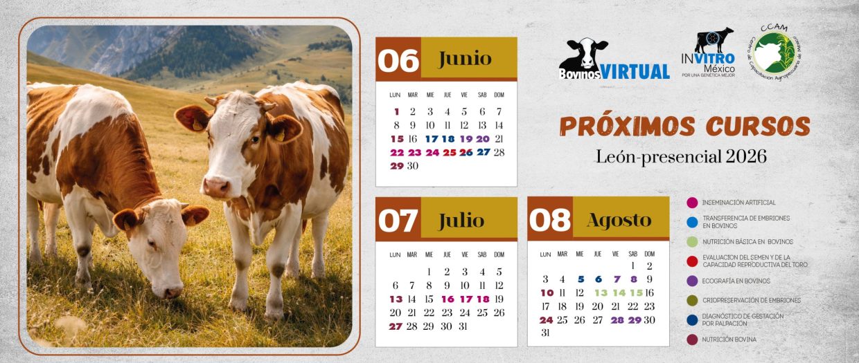 CALENDARIO AGS -OCT